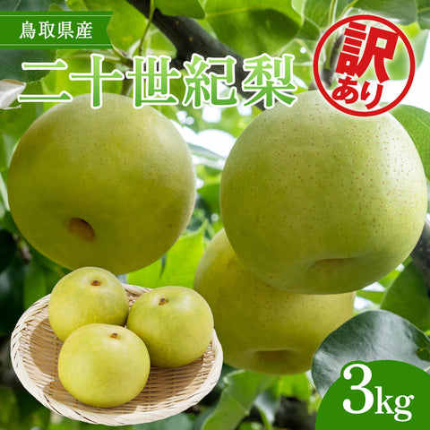 【鳥取県八頭郡】訳あり二十世紀梨 まる大農園 8月下旬以降順次発送