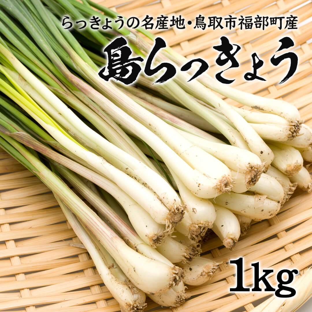 鳥取県産 砂丘らっきょう 鳥取県産(JA鳥取いなば)(生)ふくべ砂丘らっきょう(根付き)5kgM