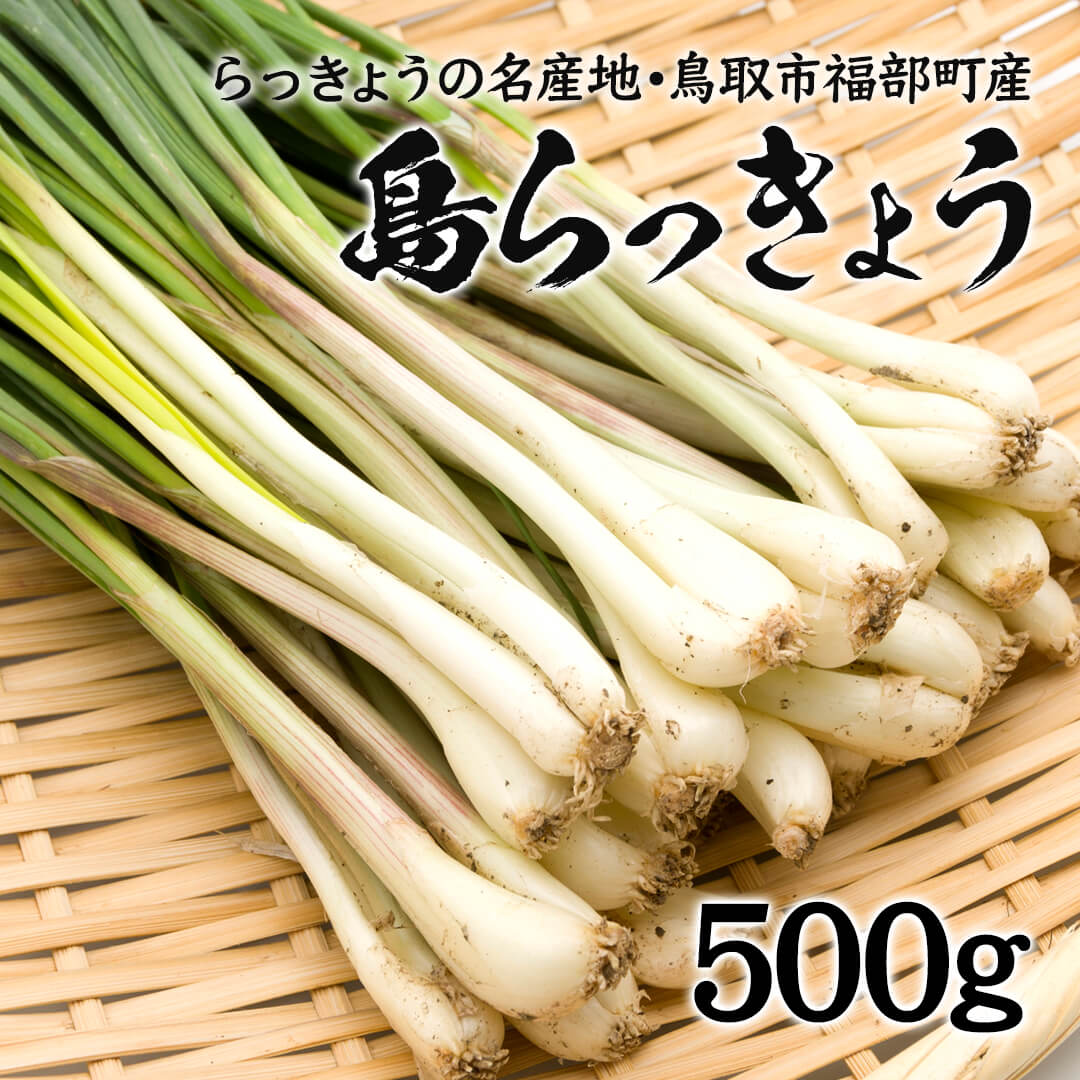 鳥取県産】鳥取砂丘の砂付き島らっきょう – さんチョク