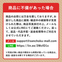 画像をギャラリービューアに読み込む, 8月下旬以降順次発送【訳あり】島根県産 シャインマスカット 1kg(2房)
