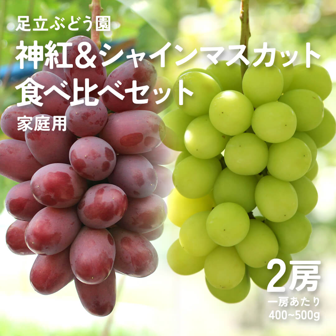 8月下旬以降順次発送【島根県産】神紅&シャインマスカットの食べ比べセット 2房(400～500g/房) 家庭用 – さんチョク