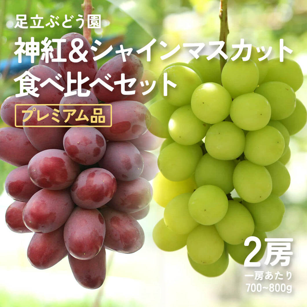 8月下旬以降順次発送【島根県産】プレミアム神紅&シャインマスカットの食べ比べセット 2房(700～800g/房)