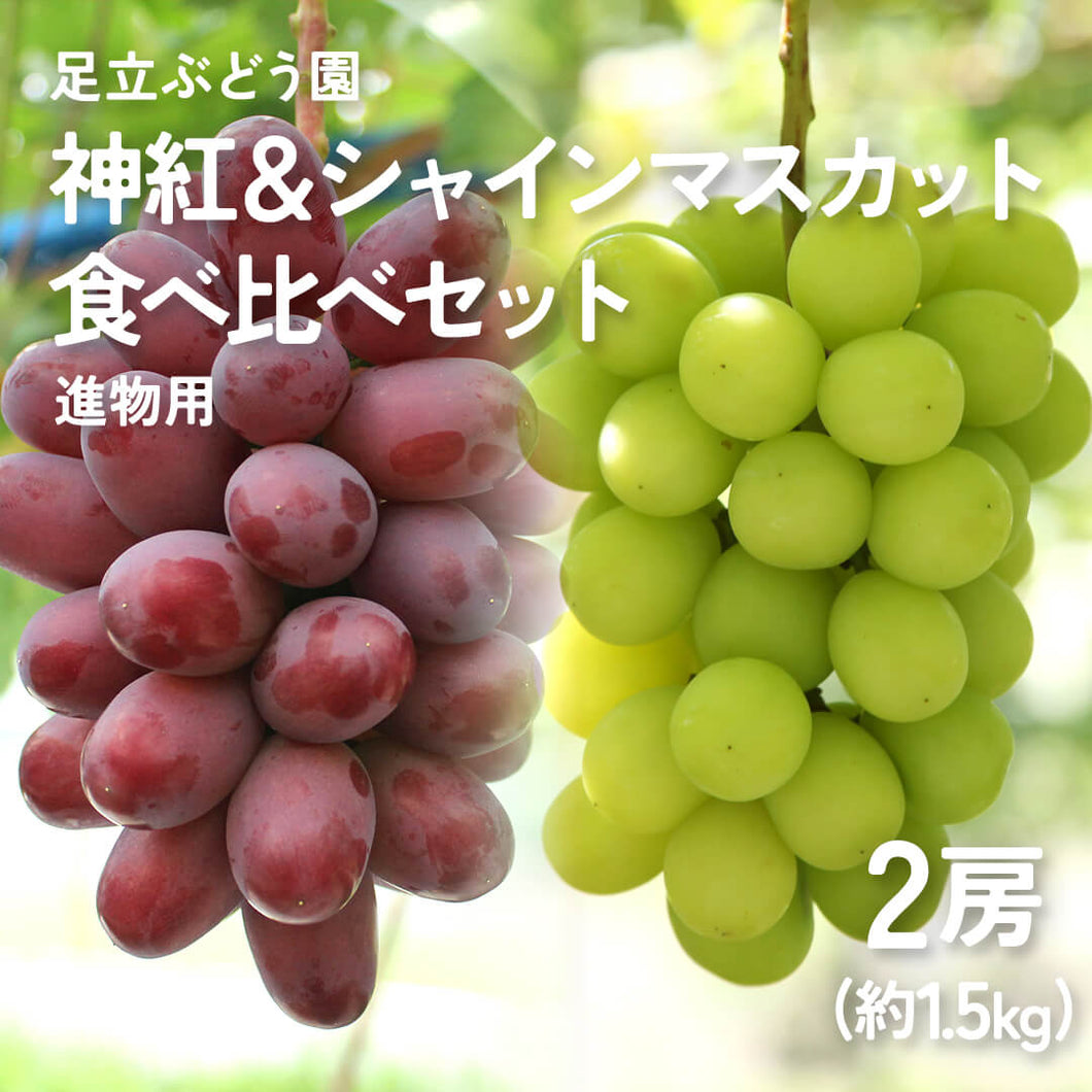 8月下旬以降順次発送【島根県産】神紅&シャインマスカットの食べ比べセット 2房(約1.5kg) 進物用