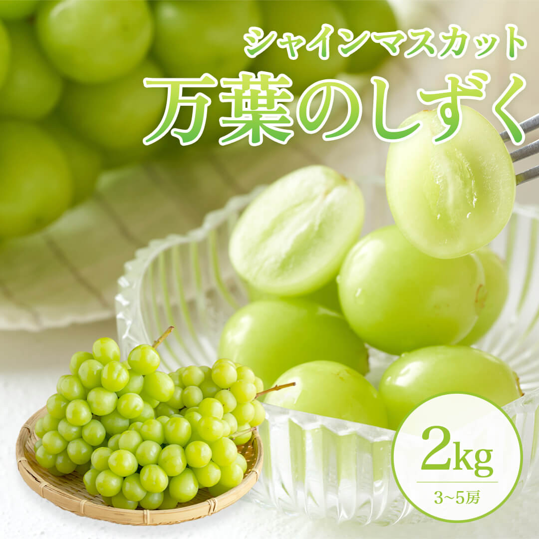 シャインマスカット徳用品 大粒多め入り 粒5キロ黄緑色の果物 鳥取県国府町産】万葉のしずく 大粒シャインマスカット – さんチョク