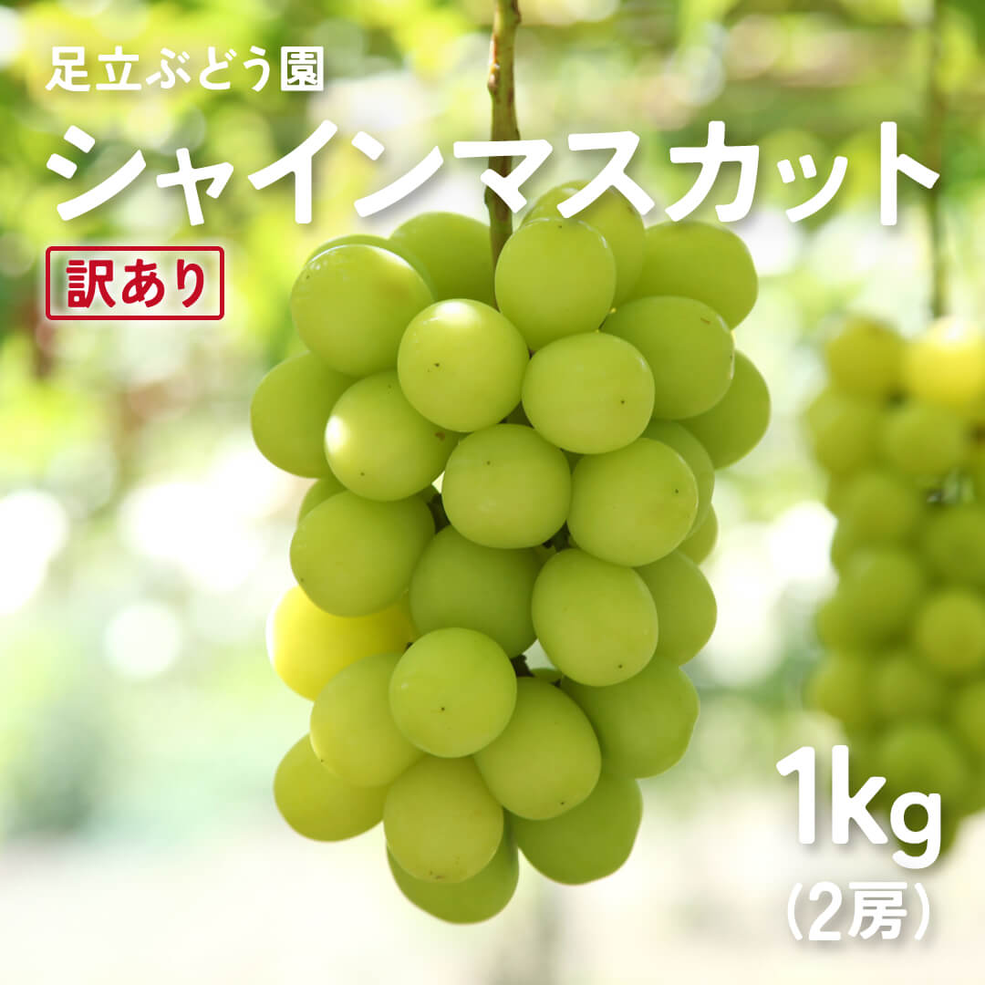 訳あり】島根県産 シャインマスカット 1kg(2房) 9月15日注文締切