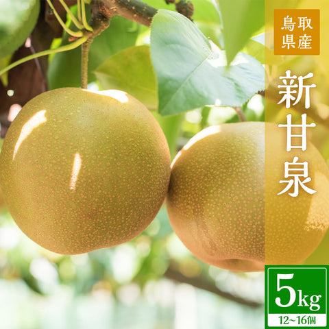 【鳥取県鳥取市産】新甘泉 秀品 農楽猫農園 9月上旬以降順次発送　注文締切9月5日