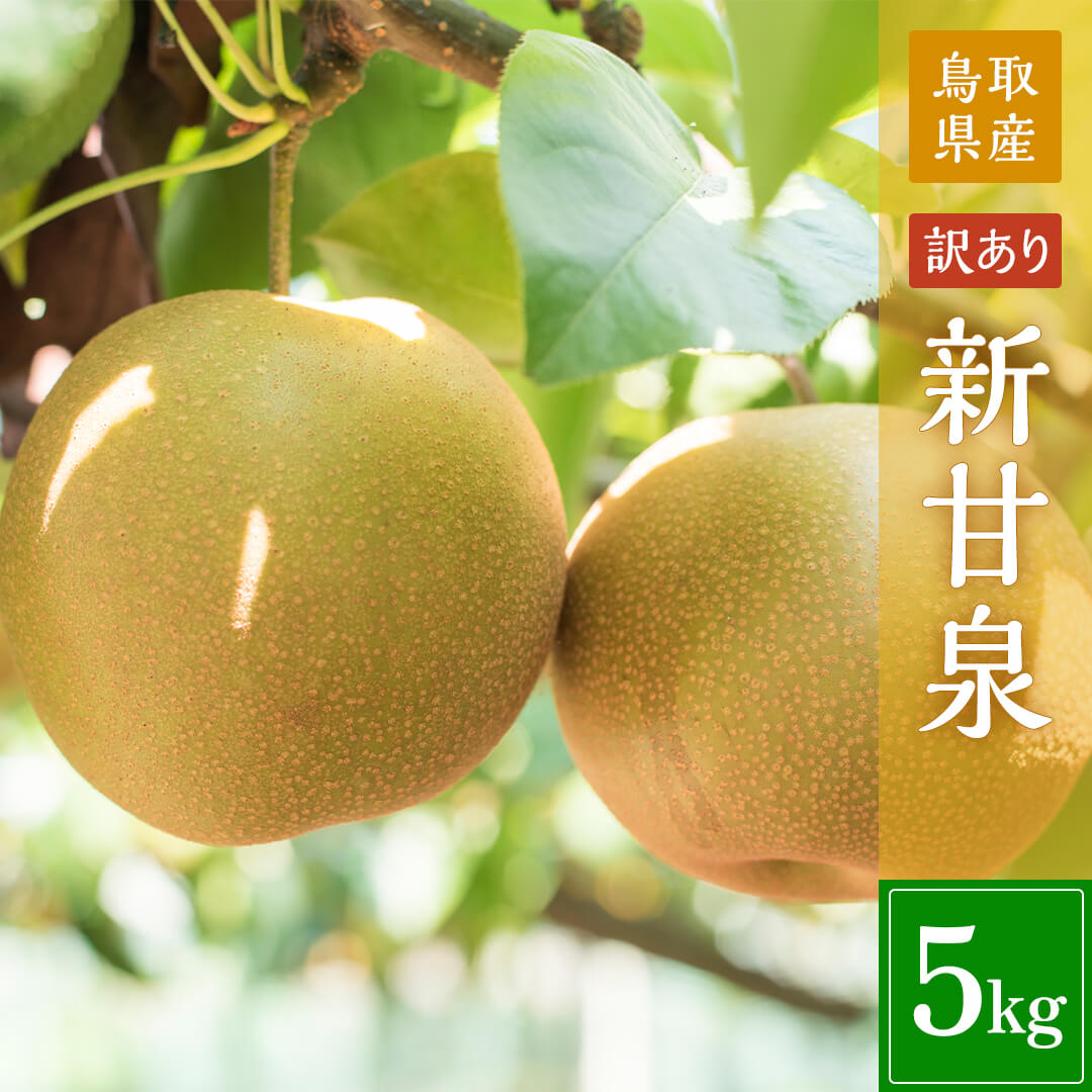 鳥取県鳥取市産】訳あり新甘泉 5kg 農楽猫農園 8月22日以降順次発送