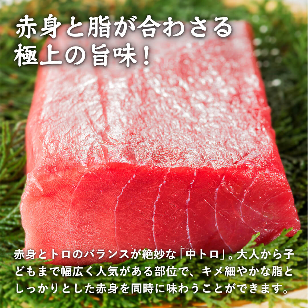 【鳥取/境港】 天然本マグロ(黒マグロ) 中トロ 300~400g 7月11日注文締切/7月16日最終着日指定可能日 – さんチョク
