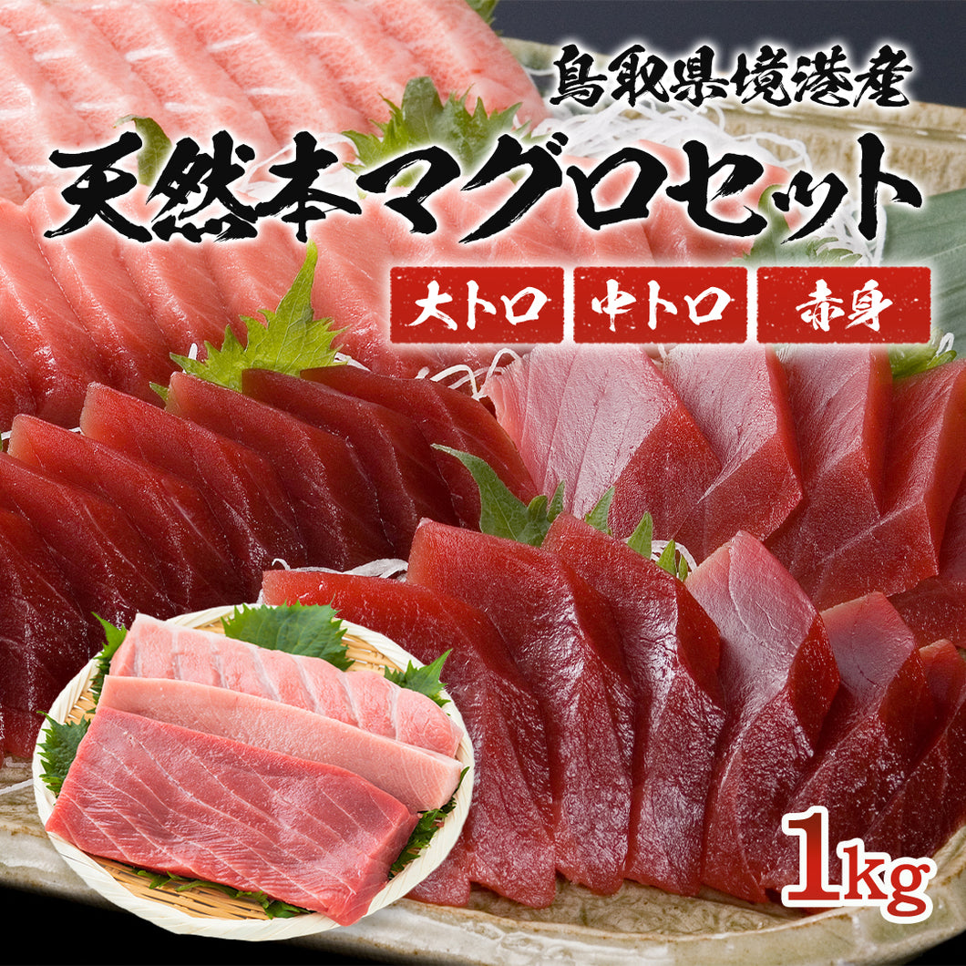 【境港産】 天然本マグロ(黒マグロ) 3点セット(大トロ・中トロ・赤身) 1kg – さんチョク
