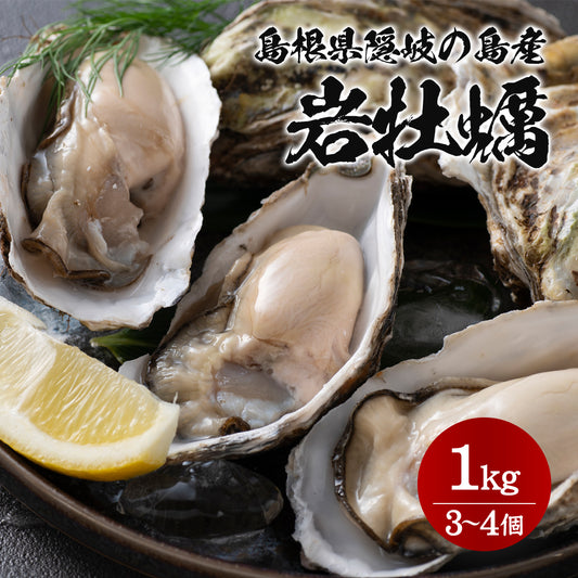4月25日注文締切【隠岐の島産】岩牡蠣（養殖） サイズ不選別