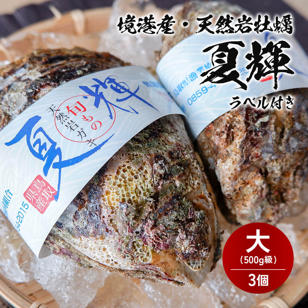 境港産】天然岩牡蠣 夏輝(ラベル付) 大サイズ（1個/500g級）殻