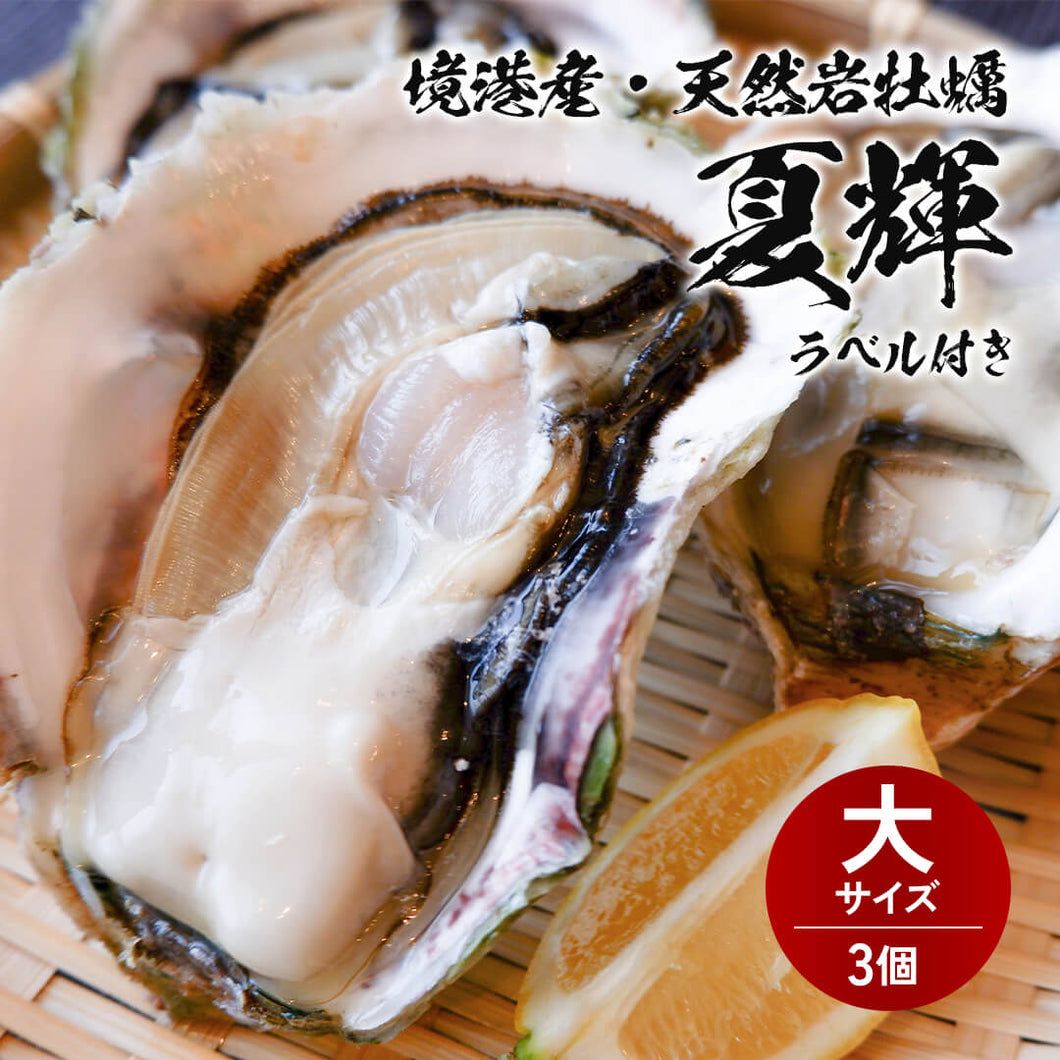【境港産】天然岩牡蠣 夏輝(ラベル付) 大サイズ（1個/500g級）