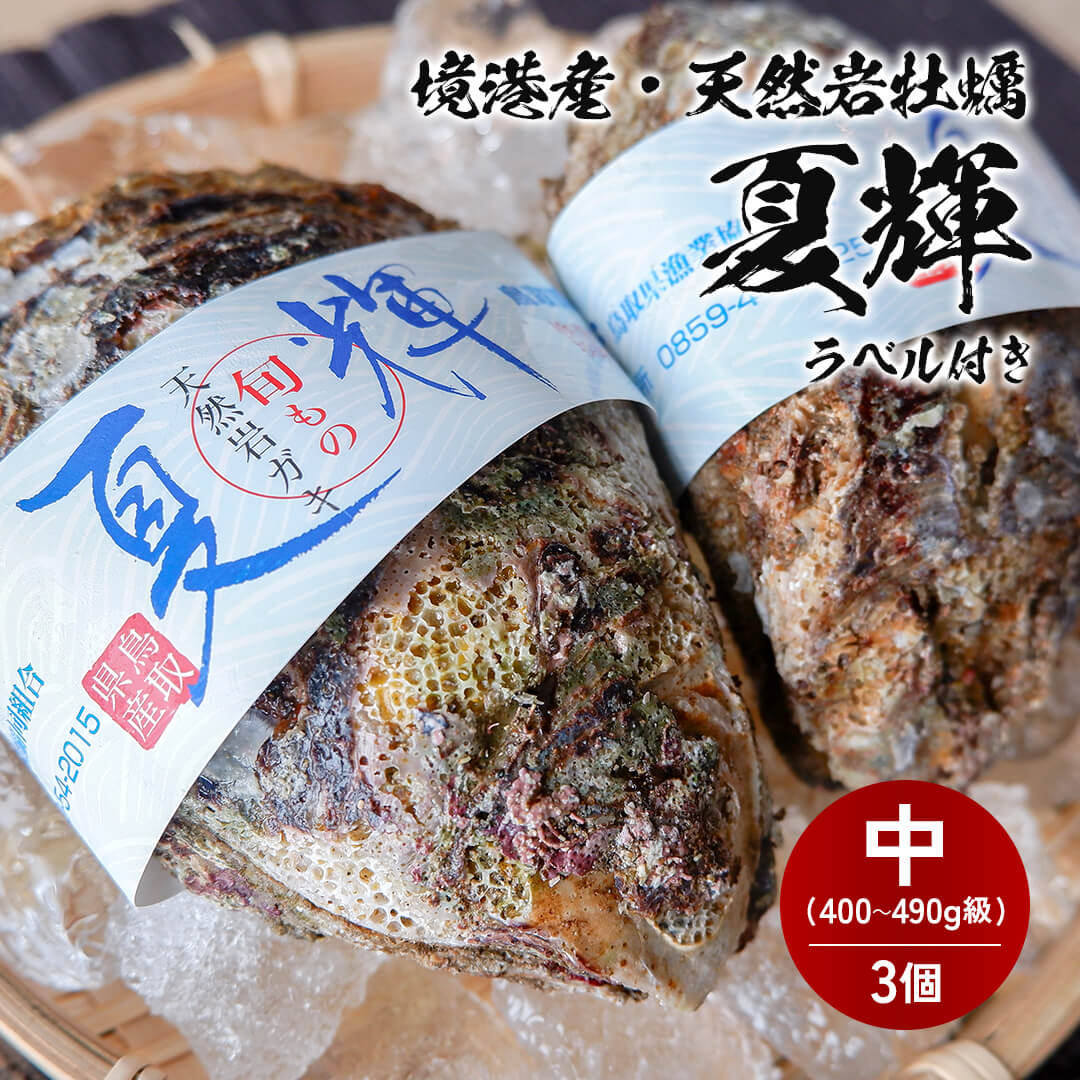 8月15日注文締切【境港産】天然岩牡蠣 夏輝(ラベル付) 中サイズ（1個/400～490g級）殻開け済（殻の側面に隙間を開けた状態でお届け）