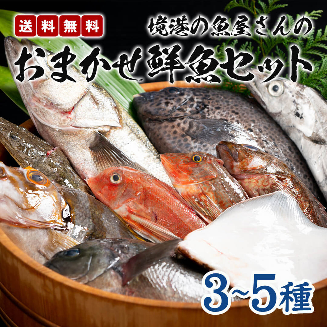 《送料無料》境港の魚屋さんのおまかせ鮮魚セット(3～5種)