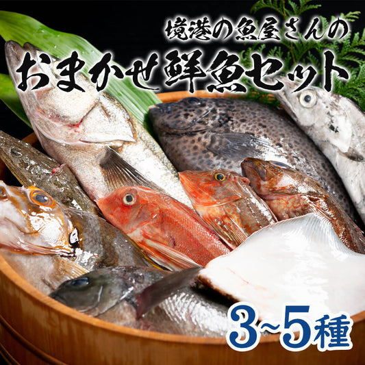 境港の魚屋さんのおまかせ鮮魚セット(3～5種) 下処理済み