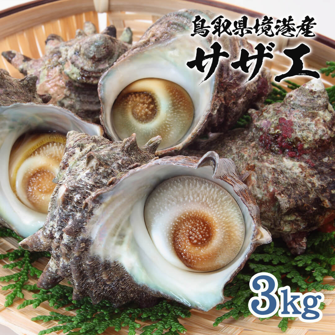 鳥取・島根産】天然サザエ（無選別） 5/2~5/6、5/11~5/15発送不可