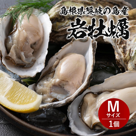 4月25日注文締切【隠岐の島産】岩牡蠣（養殖）Mサイズ（250～290g）