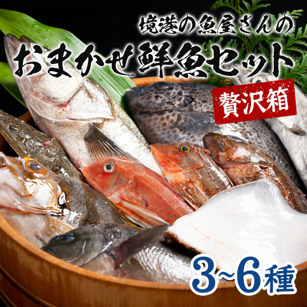 境港の魚屋さんのおまかせ鮮魚セット 贅沢箱(3～6種) 下処理済み