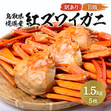 画像をギャラリービューアに読み込む, 【訳あり】鳥取県産  ボイル紅ズワイガニ B級 1.5kg(5枚入り)
