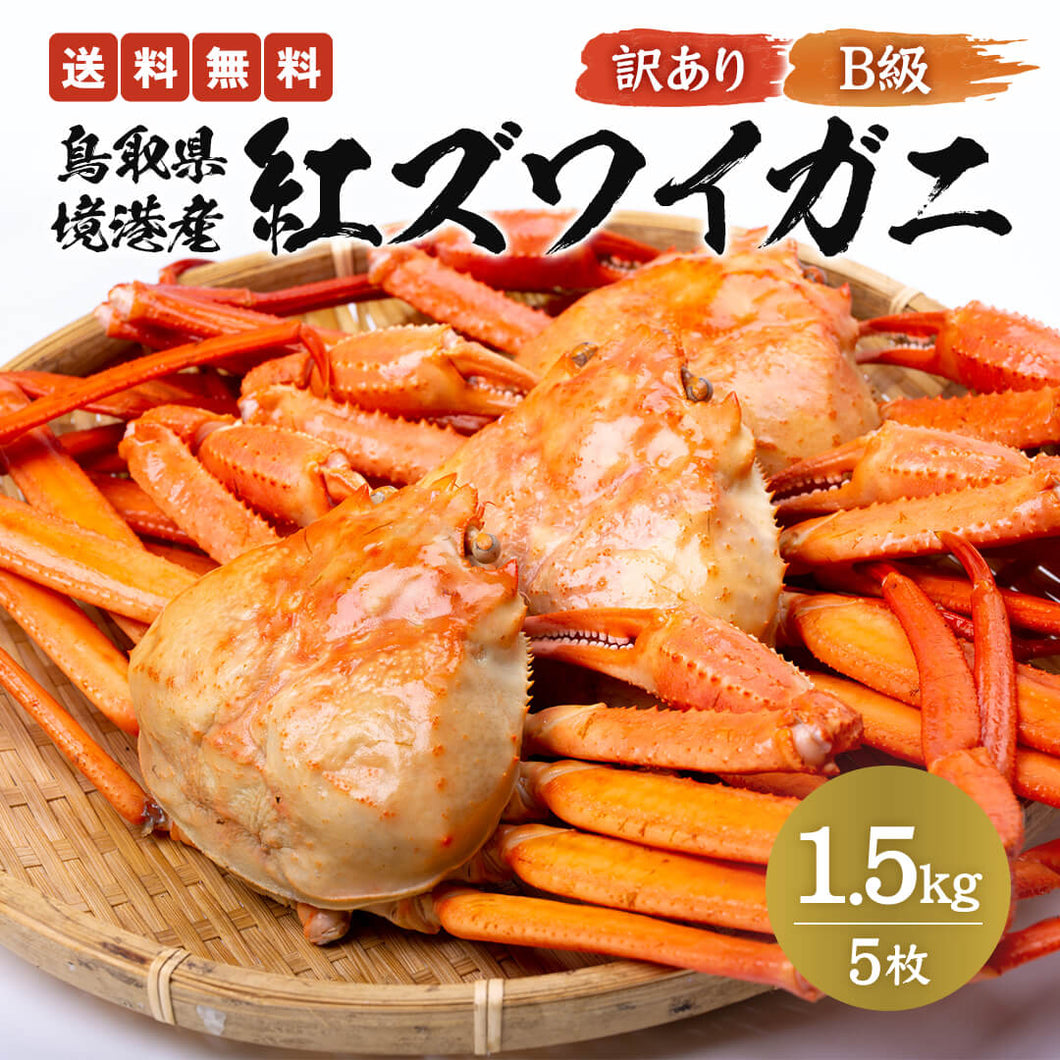 送料無料》【訳あり】鳥取県産 ボイル紅ズワイガニ B級 1.5kg(5枚入り