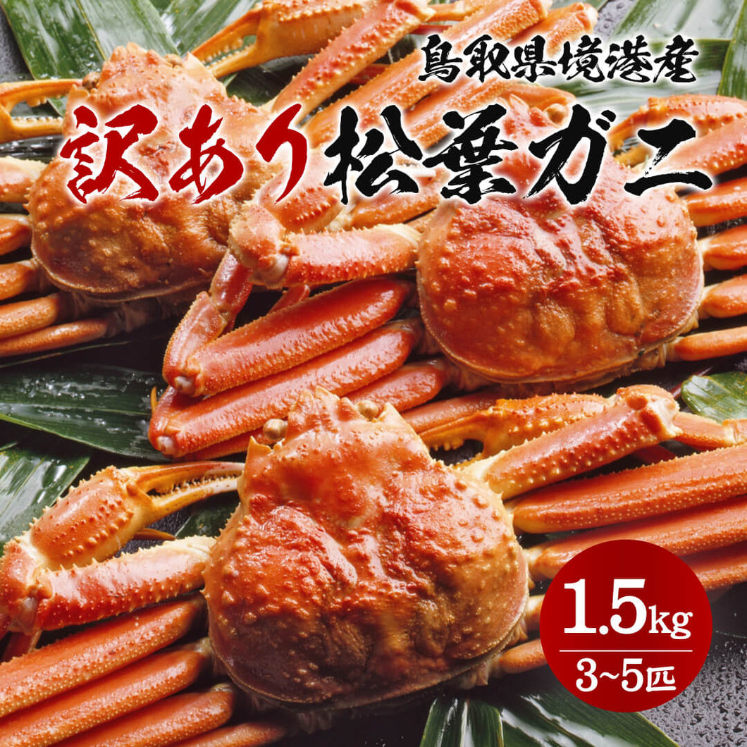 【鳥取/境港】＜訳あり＞  ボイル松葉ガニ 1.5kgセット(3～5枚) 足折れ1本あり　11月12日より順次出荷